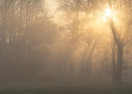 Mai 2016 Lever de soleil dans la brume