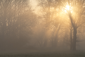 Mai 2016 Lever de soleil dans la brume