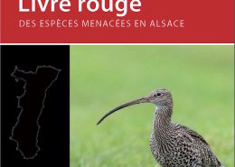 Publications Livre rouge des espèces menacées en Alsace